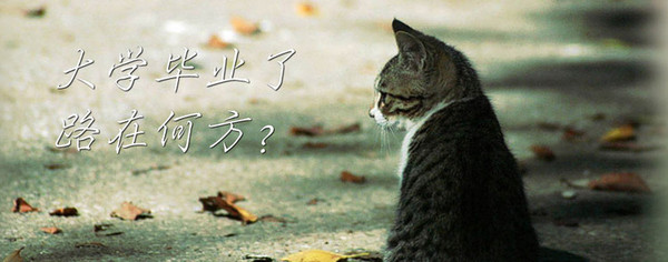 大学生就业
