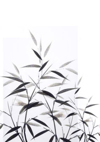 格调
