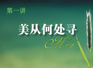 设计美学