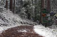 爬树修枝机器人