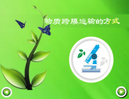 物质跨膜运输实质