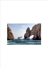 陆空两用多媒体内观甲壳虫