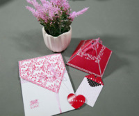 绶带鸟婚礼系列