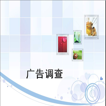 广告调查——问卷资料的编码、录入