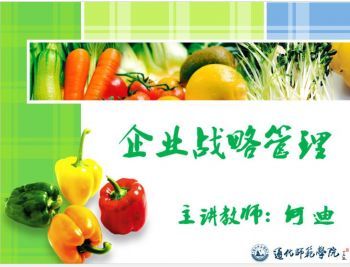 企业战略