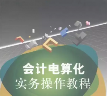 会计电算化实务