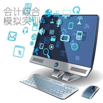 会计模拟实训