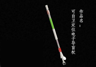 可自卫定位电子导盲杖