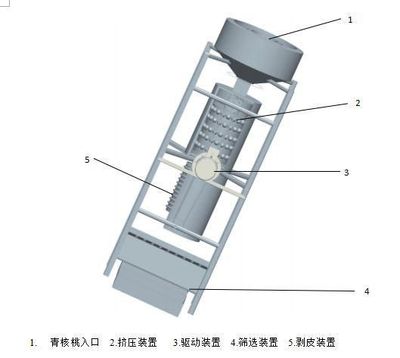 竖直式青核桃剥皮筛选机