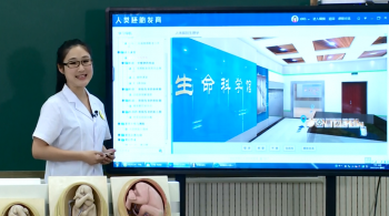 生命的奇迹——人类胚胎发育