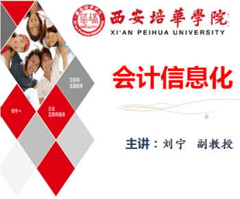 会计信息化