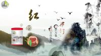 遇见祁门红茶