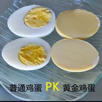 黄金蛋智能制作机