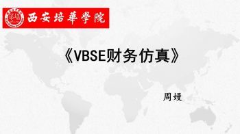 VBSE財務(wù)仿真