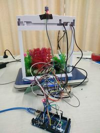 基于Arduino的智能水族箱系统