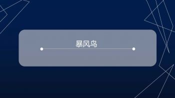 暴风鸟