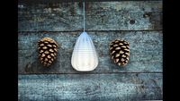 仿生松果灯具设计