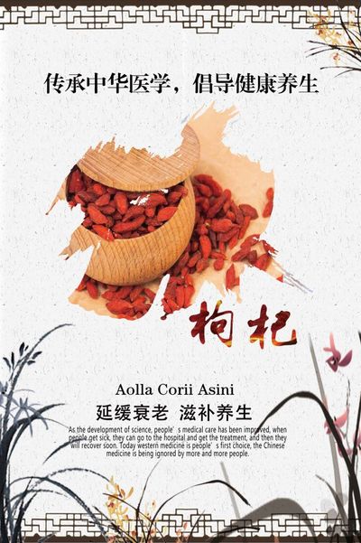 传承中华医学