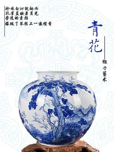 猴子的艺术