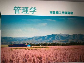 管理学