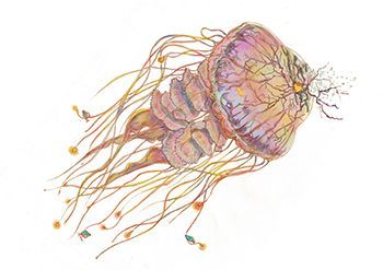 科技海洋