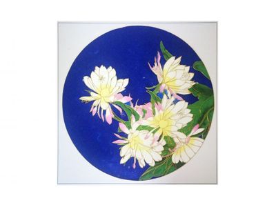 蝶恋昙花