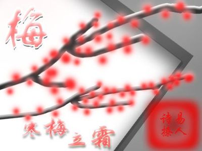 寒梅立霜