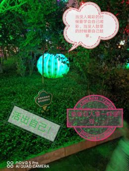 以梦为马