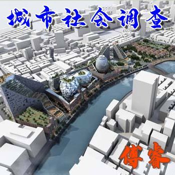 城市社会调查