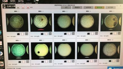 智能菌落培育监控系统