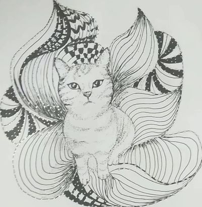 灵猫