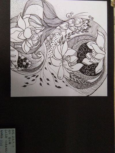 荷花池