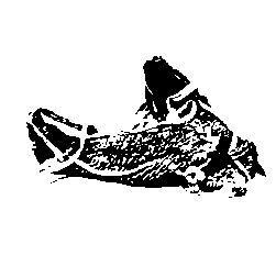 《怎渡，争渡》