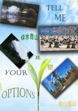 你的选择