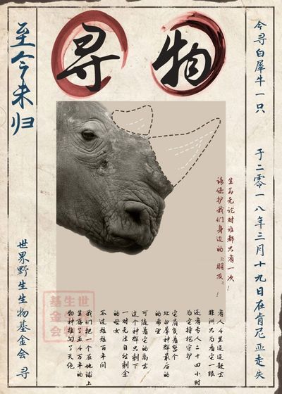 寻物