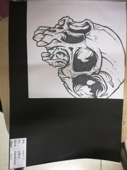骷髅