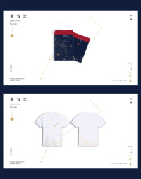 唐智汇有限公司vis设计