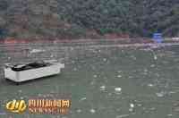 水面垃圾清理船