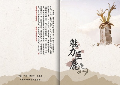 “巨鹿县”宣传册