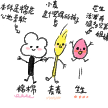 巨鹿三伙伴