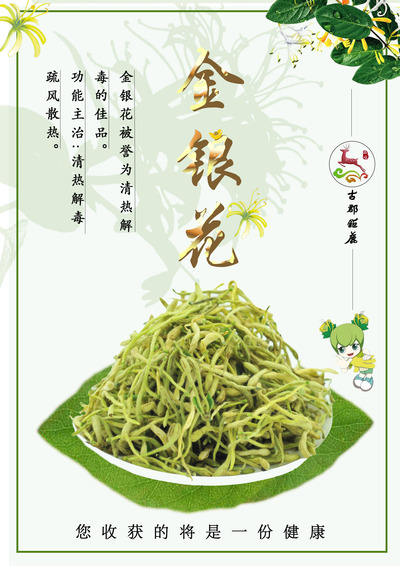 海报