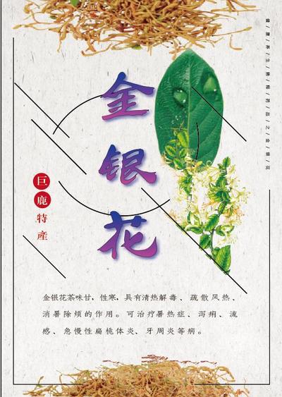 县域海报