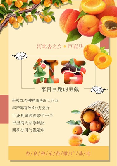 红杏海报