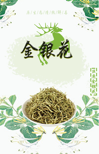 海报