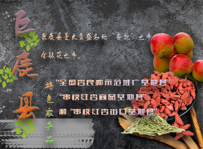 《巨鹿印象》