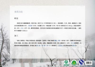 串枝杏儿
