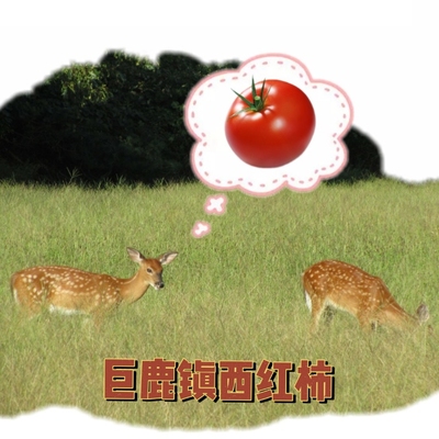 巨鹿镇特色产品