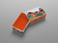 巨鹿养生宝系列包装设计