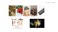 巨鹿县域品牌形象设计
