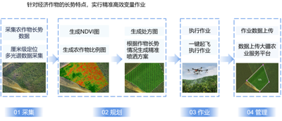 植保無人機飛防服務